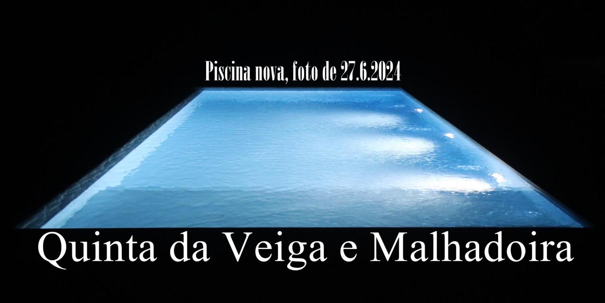 Quinta Da Veiga E Malhadoira Guest House Vieira do Minho Ngoại thất bức ảnh